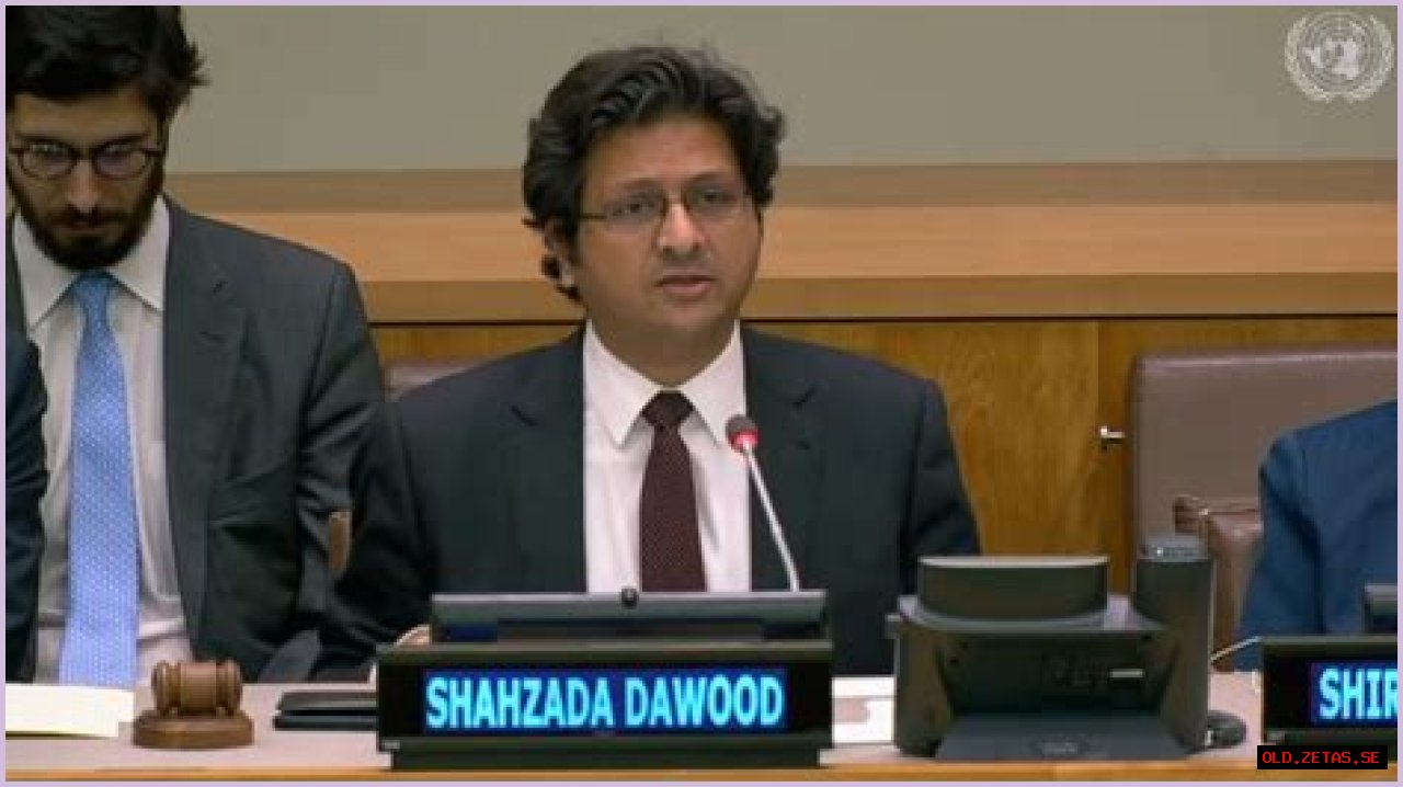 Meet Alina, The Daughter Of Prominent Business Tycoon Shahzada Dawood